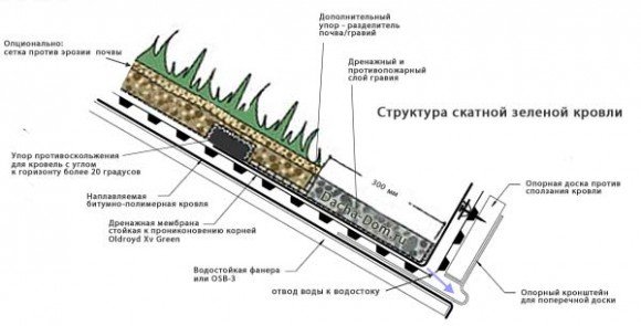 Правила озеленения крыши