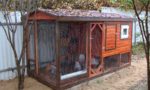 курятник на 10 кур своими руками